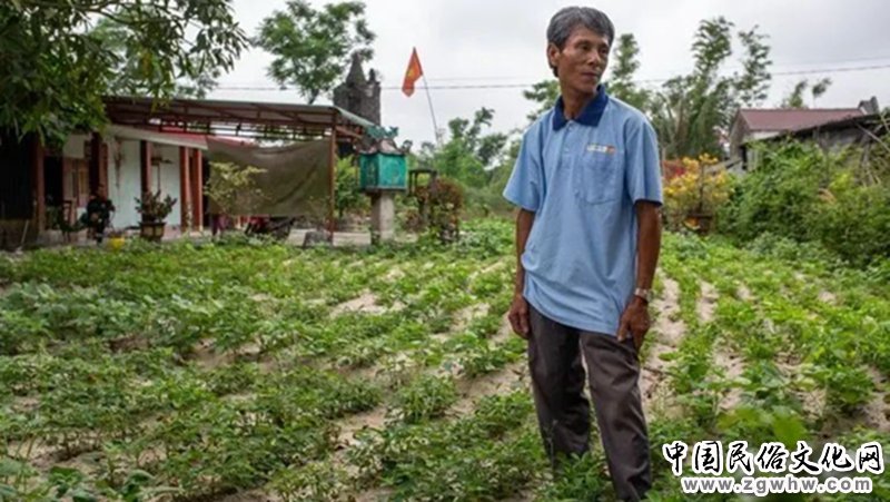 美国打脸提供这种可怕炸弹,盟友只想捂脸……